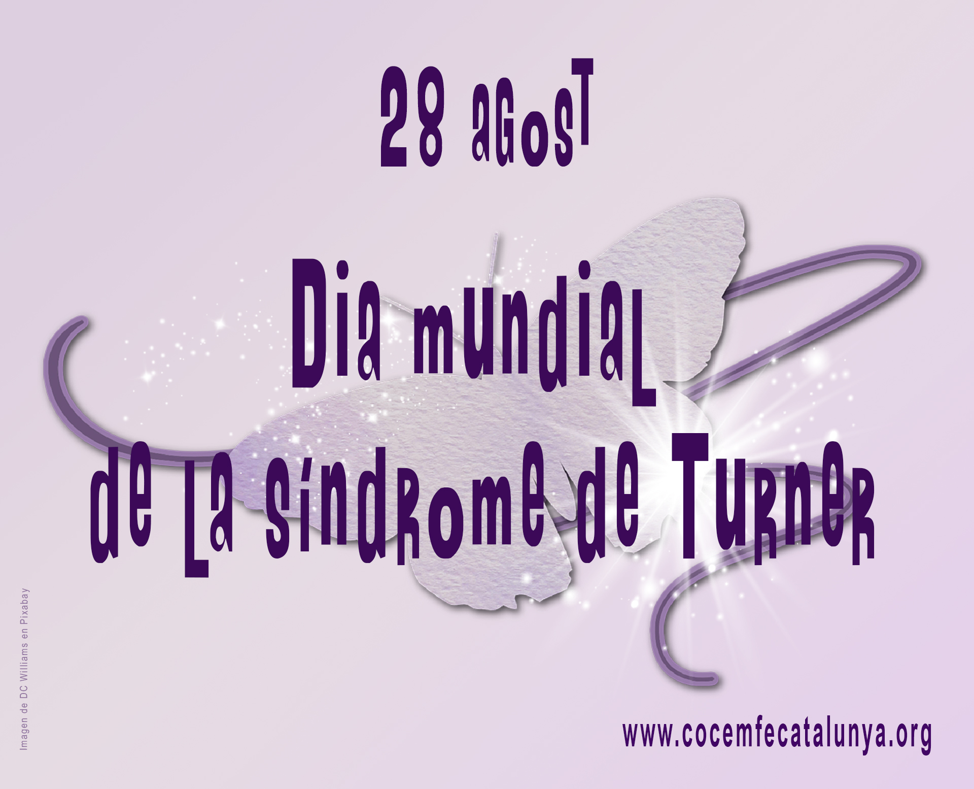 28 d’agost. Dia mundial de la Síndrome de Turner