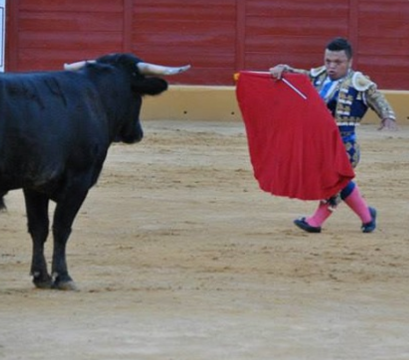 Espectacles taurins denigrants